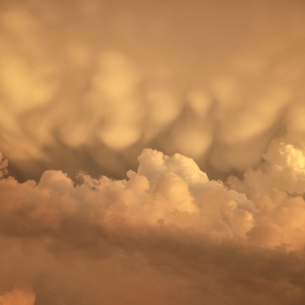 Meet your Posher, 🍎